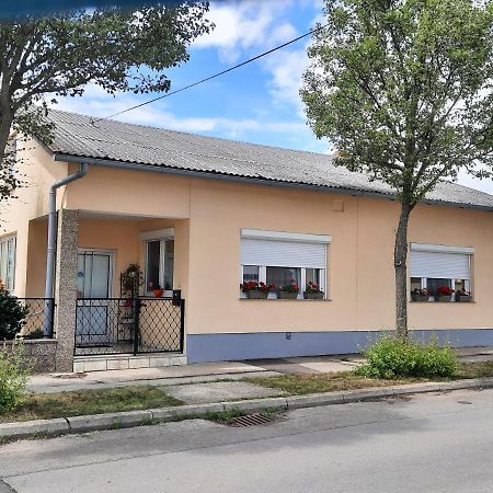 Ferienhaus Lina Neusiedl am See Εξωτερικό φωτογραφία