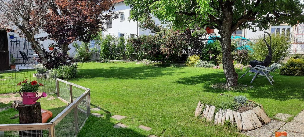 Ferienhaus Lina Neusiedl am See Εξωτερικό φωτογραφία